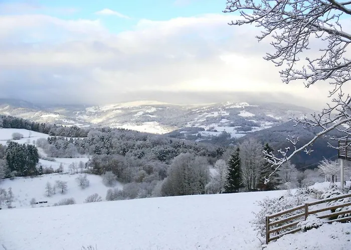 La Sapiniere * Labaroche